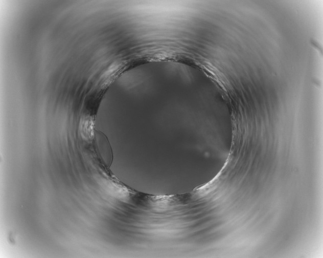 X0000093400191200711020942