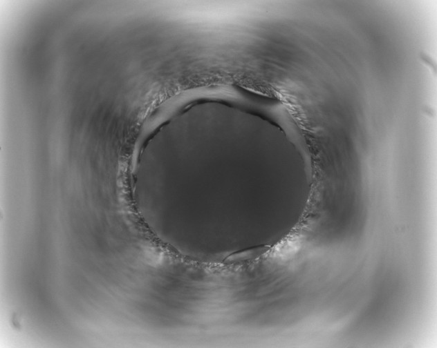 X0000093400192200711020942