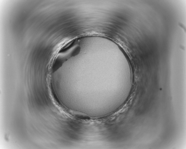 X0000093400193200711020942