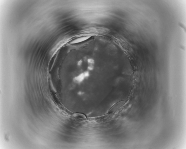 X0000093400194200711020941