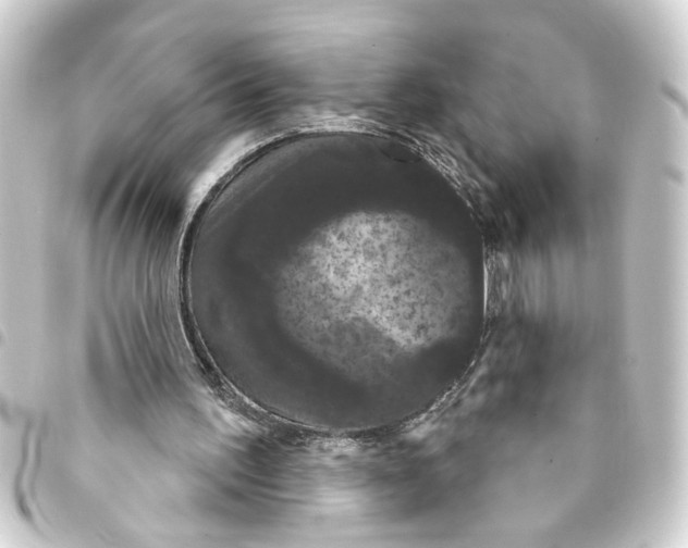 X0000093400195200711020941