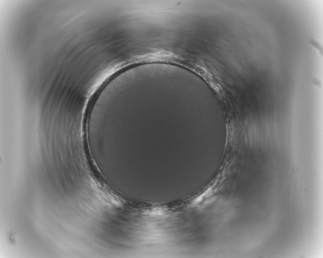 X0000093400196200711020941