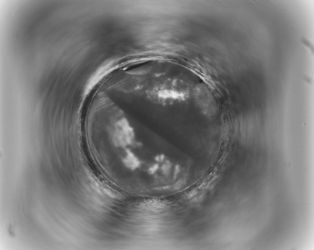 X0000093400198200711020941