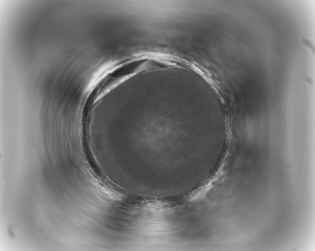 X0000093400199200711020941