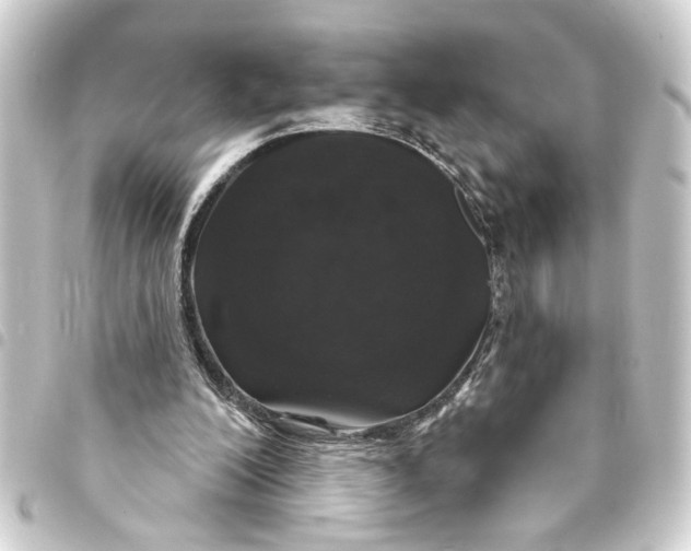 X0000093400200200711020941