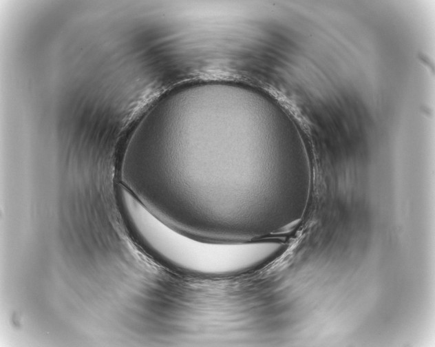 X0000093400201200711020941