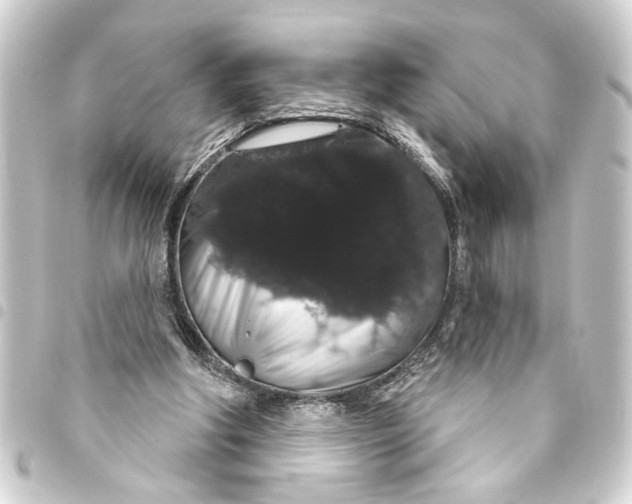 X0000093400202200711020941