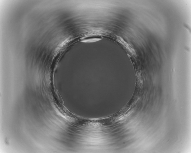 X0000093400203200711020941