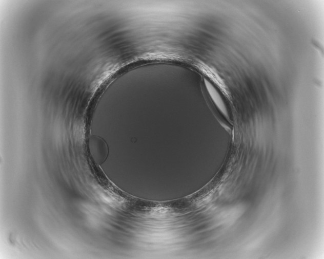 X0000093400204200711020941