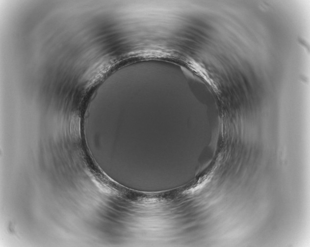 X0000093400205200711020941