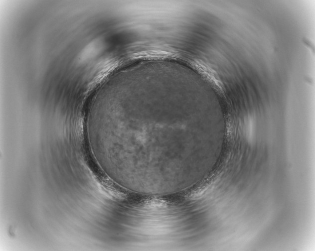 X0000093400206200711020941