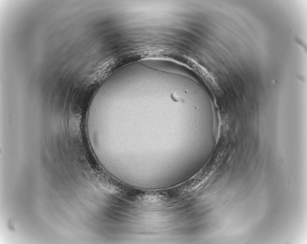 X0000093400209200711020941