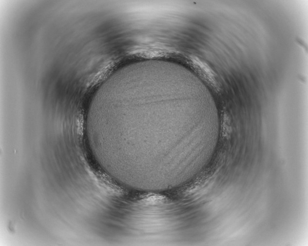 X0000093400210200711020941