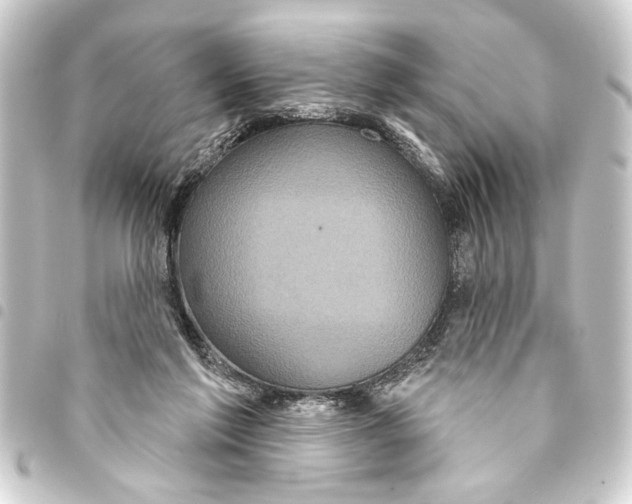 X0000093400213200711020941