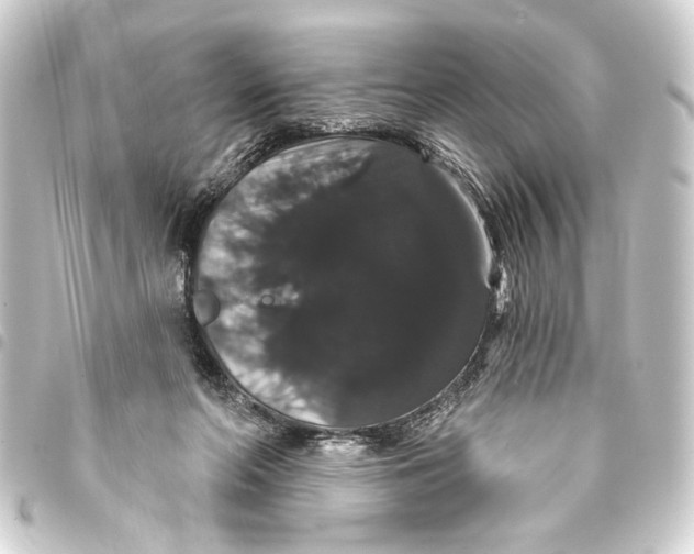 X0000093400214200711020941