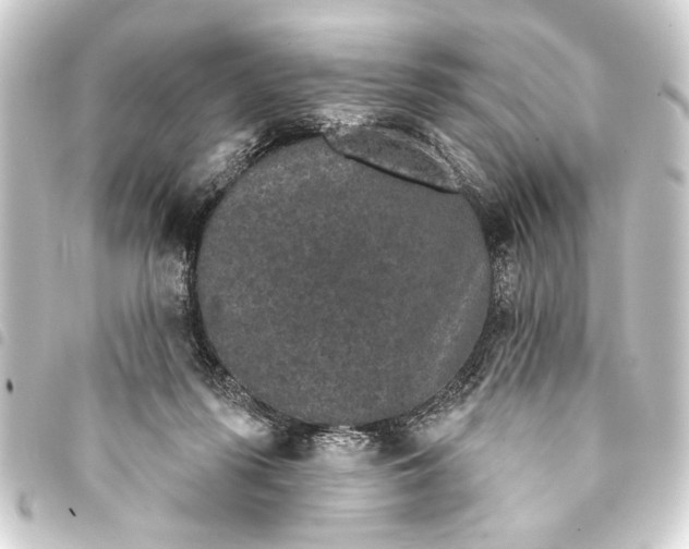 X0000093400215200711020941