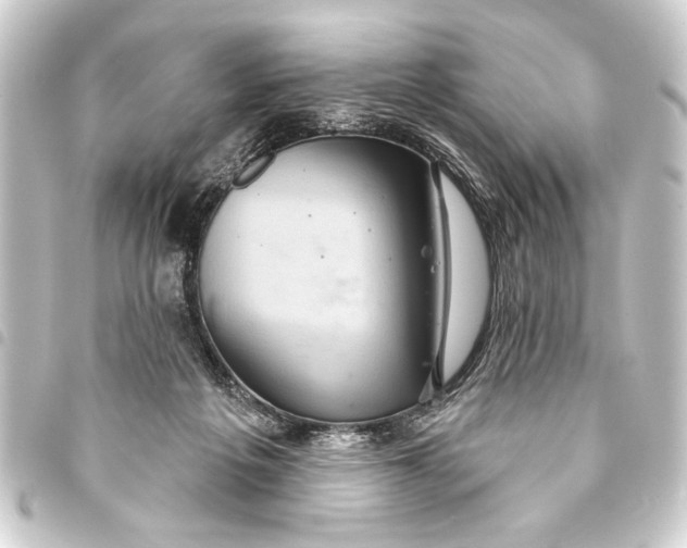 X0000093400217200711020941