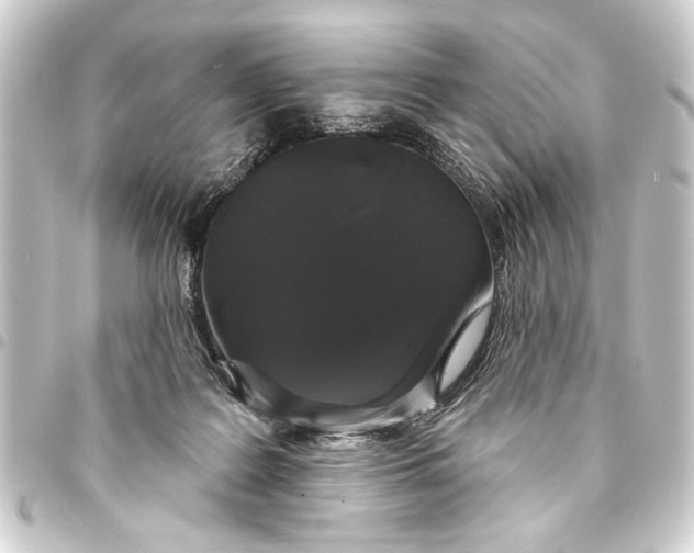 X0000093400219200711020941