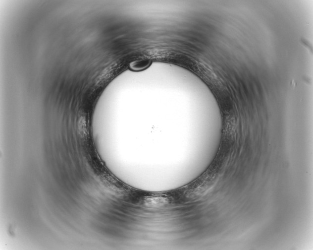 X0000093400220200711020941