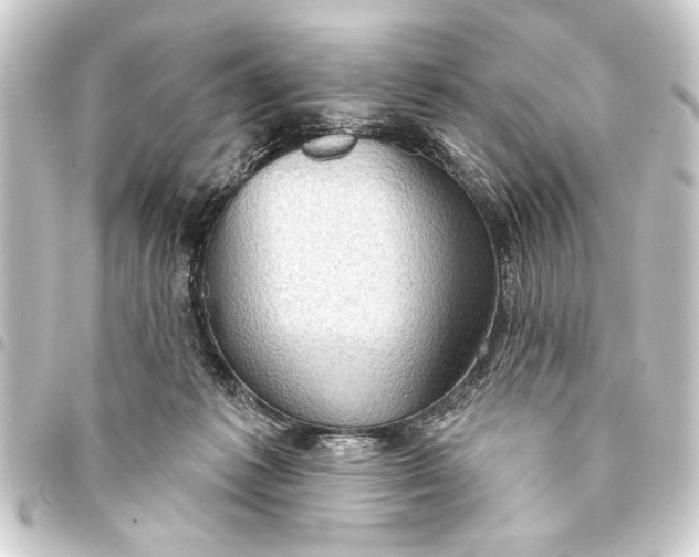 X0000093400221200711020941