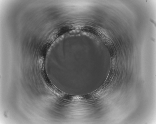 X0000093400222200711020941