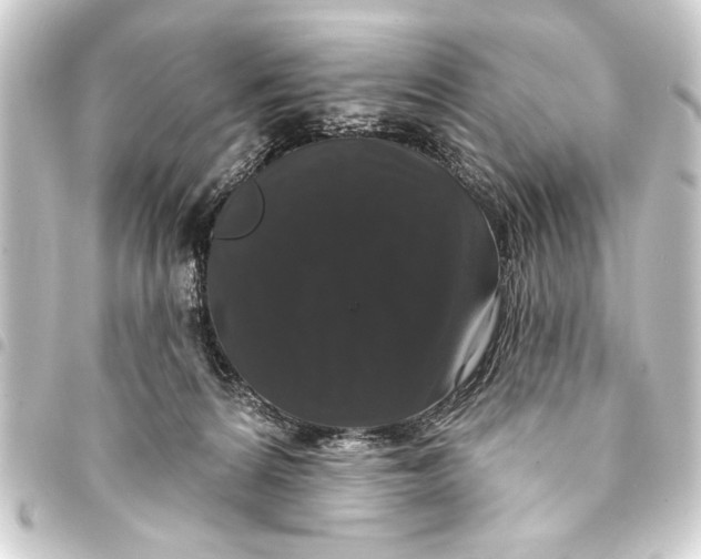 X0000093400224200711020941