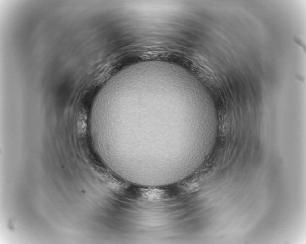 X0000093400226200711020941