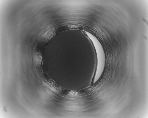 X0000093400227200711020941