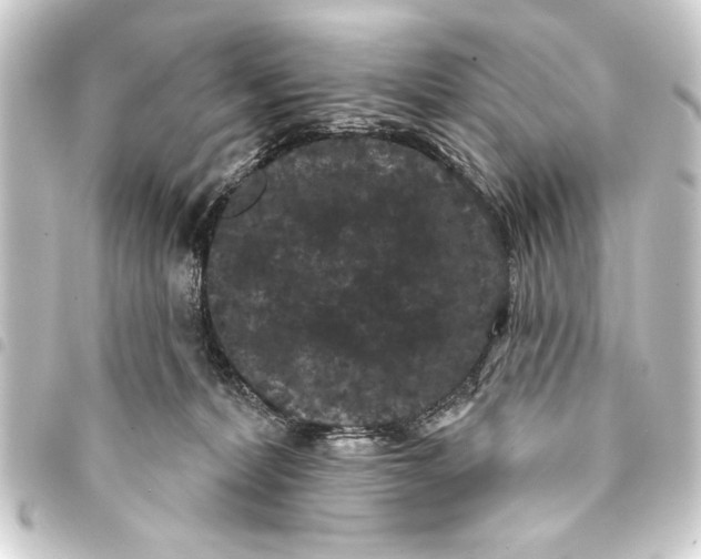 X0000093400228200711020941