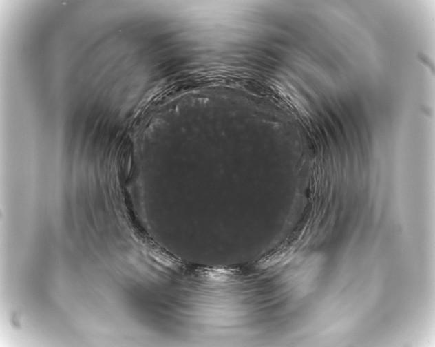 X0000093400229200711020941