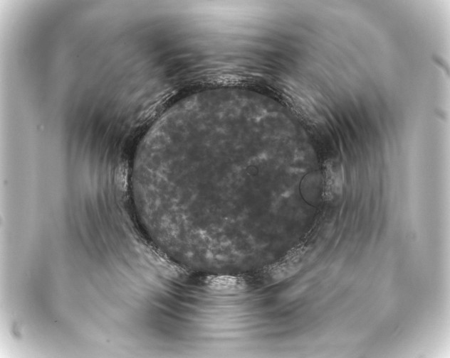 X0000093400230200711020941