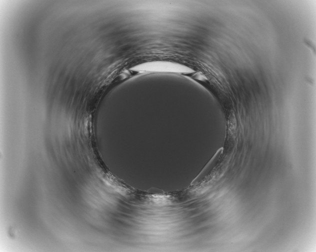 X0000093400233200711020941