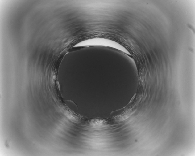 X0000093400235200711020941