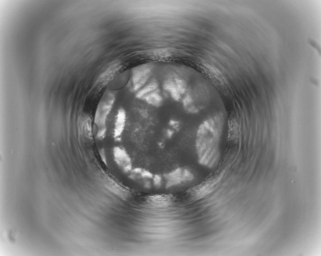 X0000093400238200711020941