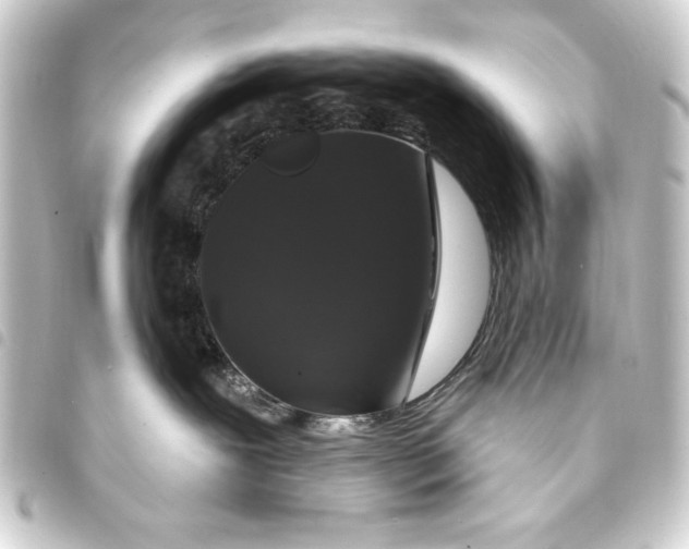 X0000093400239200711020941