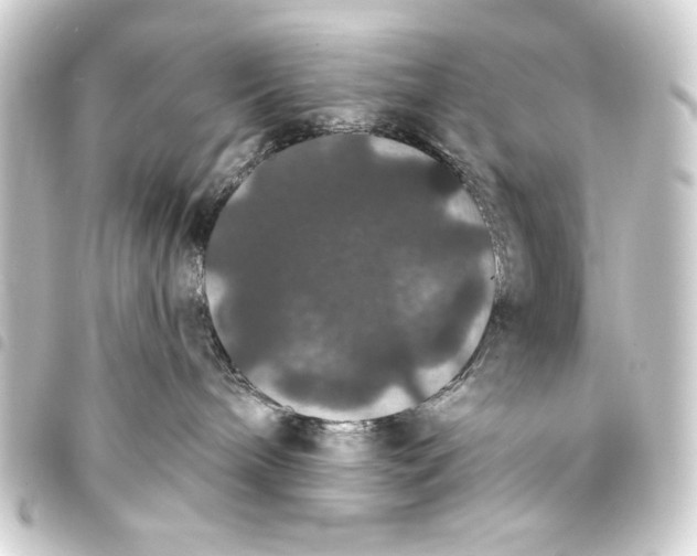 X0000093400240200711020941