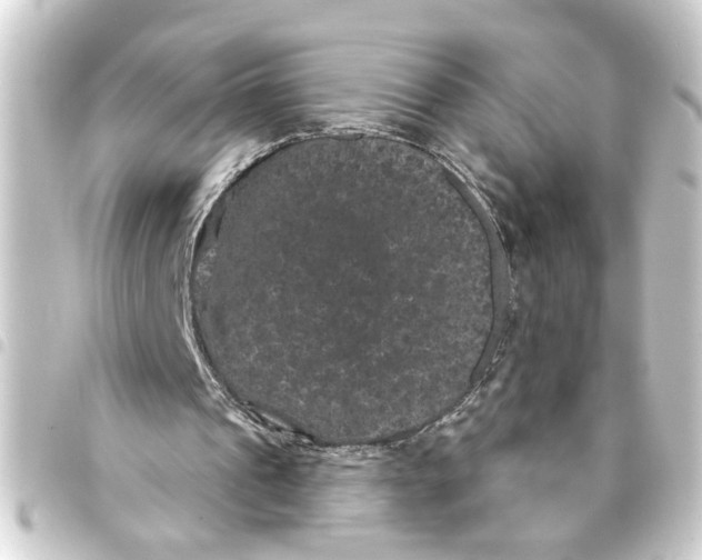 X0000093400241200711020940