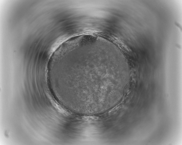 X0000093400242200711020940