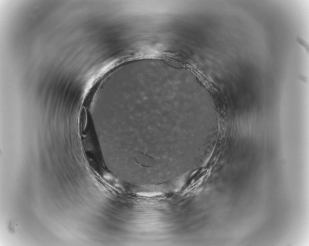 X0000093400244200711020940