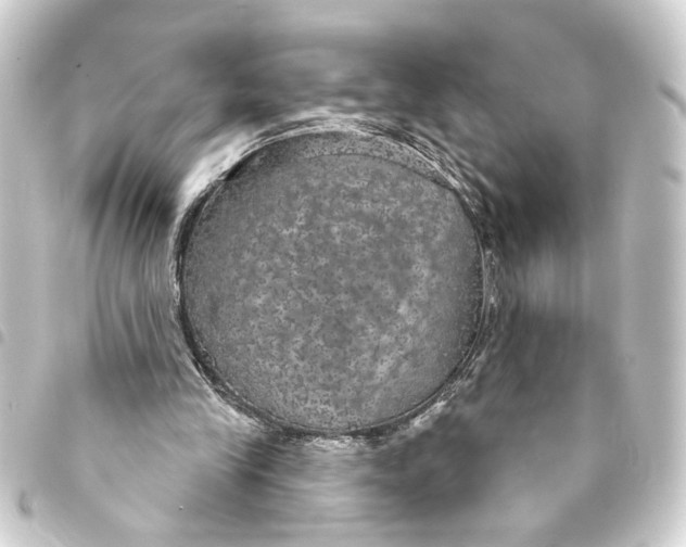 X0000093400245200711020940