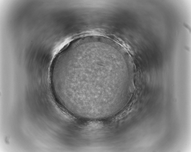 X0000093400248200711020940