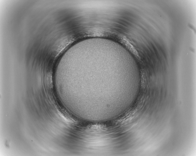 X0000093400251200711020940