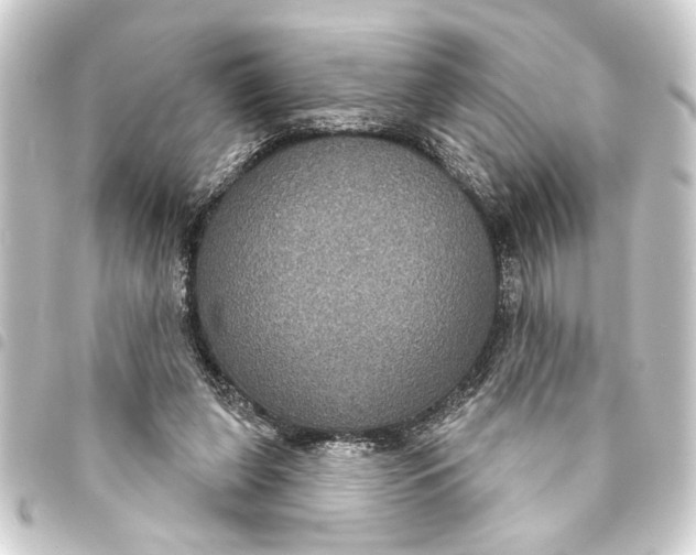 X0000093400255200711020940