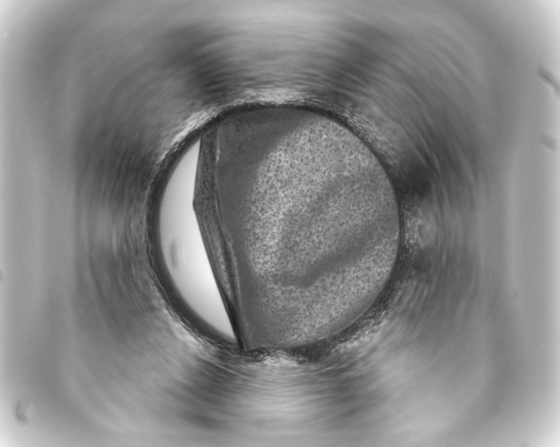 X0000093400256200711020940