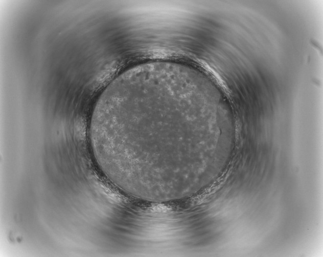 X0000093400257200711020940