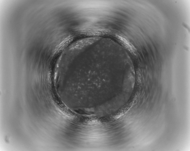 X0000093400258200711020940