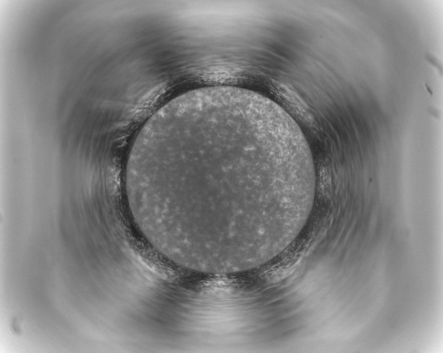 X0000093400259200711020940