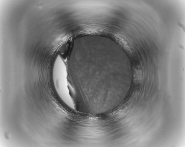 X0000093400260200711020940