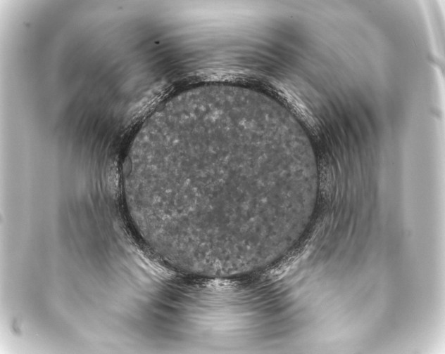 X0000093400261200711020940