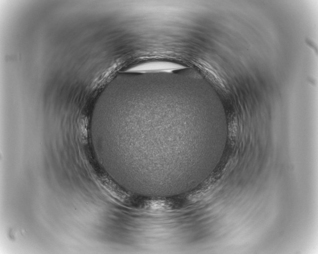 X0000093400264200711020940